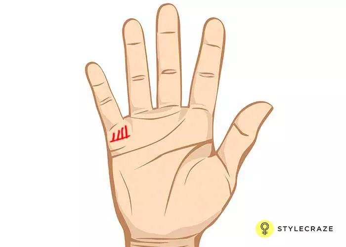 If your lines are deep and prominent, you will have a boy.