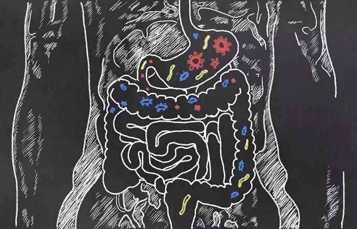 3.Boost Your Immunity With Probiotics AndA Nutrient-Rich Diet