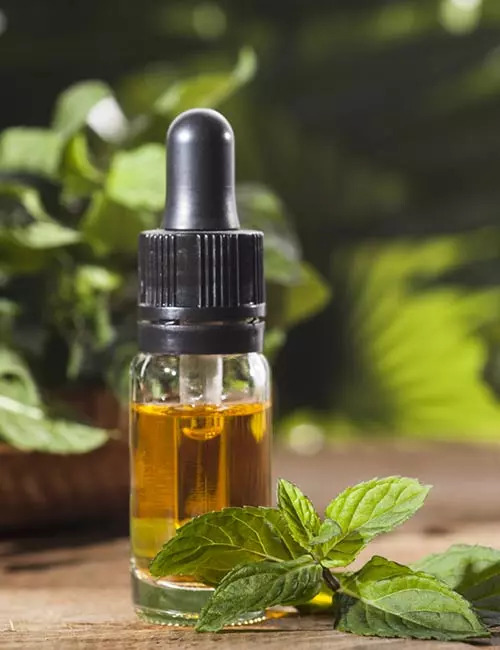 10 Best Essential Oils To Lose Weight