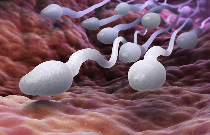 7.Sperm Can Live For Days – No Kidding.