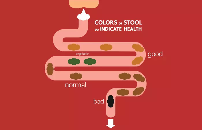 poop shape and color bristol stool chart 