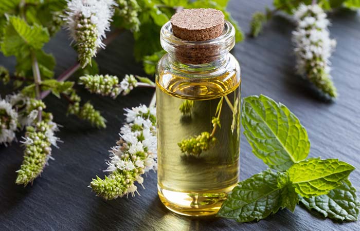Peppermint oil to treat burns at home