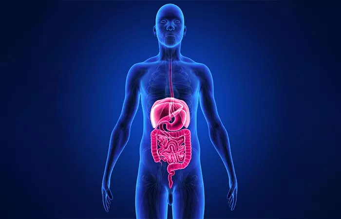 3. Liver And Gallbladder Cleanse 