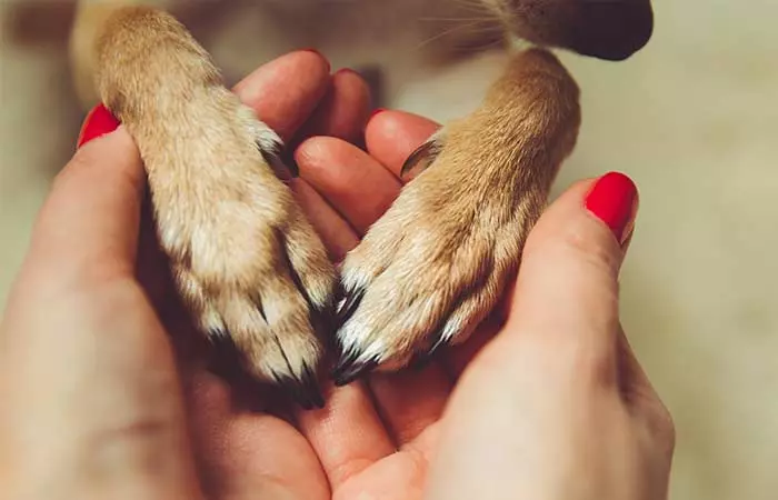 8. Kindness 