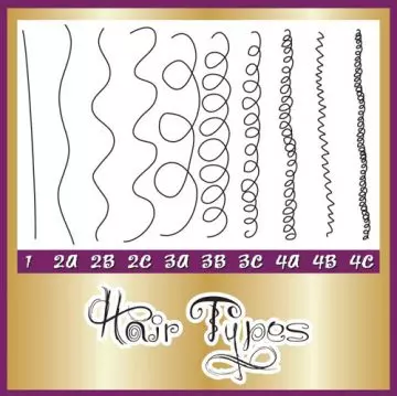 Different types of hair