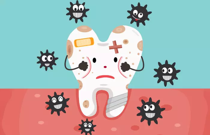 1. Antibacterial & Antifungal Properties 