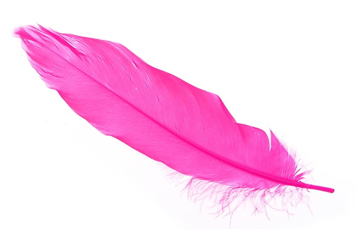 5. The Pink Feather 