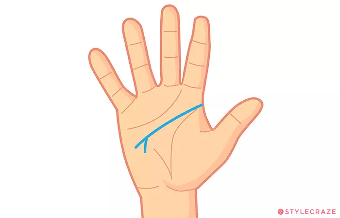 1. It Branches Off In A Small Line At The End