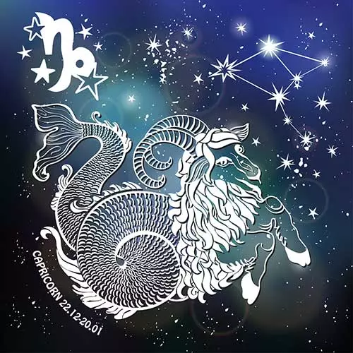 10. Capricorn (22nd Dec - 20th Jan)