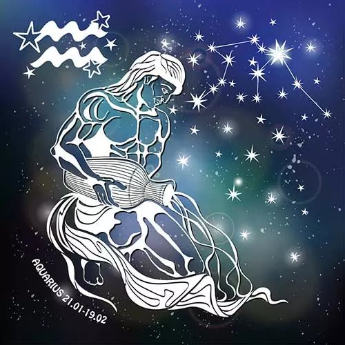 11. Aquarius (21st Jan - 18th Feb)