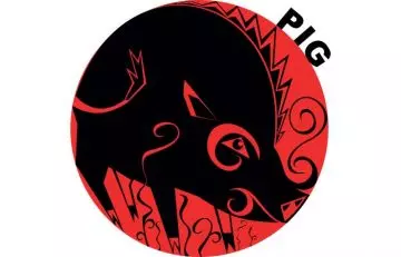12. Year Of The Pig