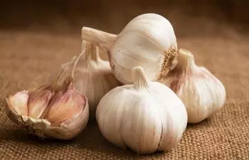 Garlic for kidney stone pain