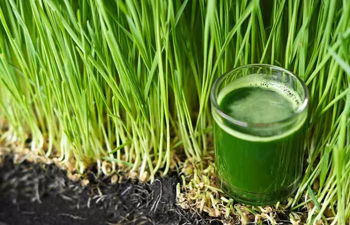 Wheatgrass juice for kidney stone pain