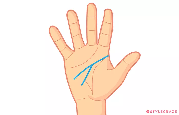 2. A Long Line Branches Off From The Middle Of The Head Line
