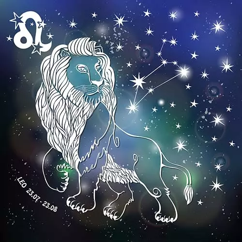 3. Leo (23rd July - 22nd Aug)