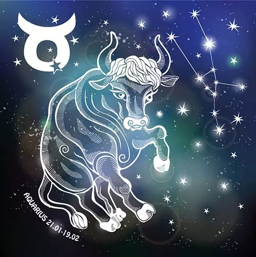 4. Taurus (20th Apr - 21st May)