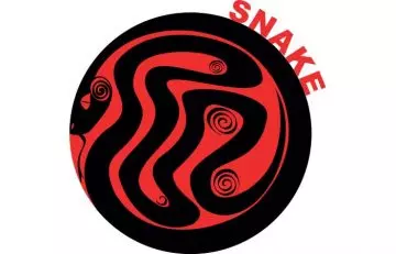 6. Year Of The Snake