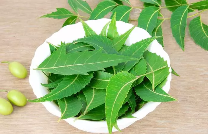 Neem leaves are a home remedy for dengue fever