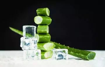 Aloe vera with ice cubes to heal burns