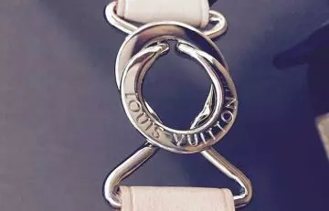 Louis Vuitton handbag's hardware