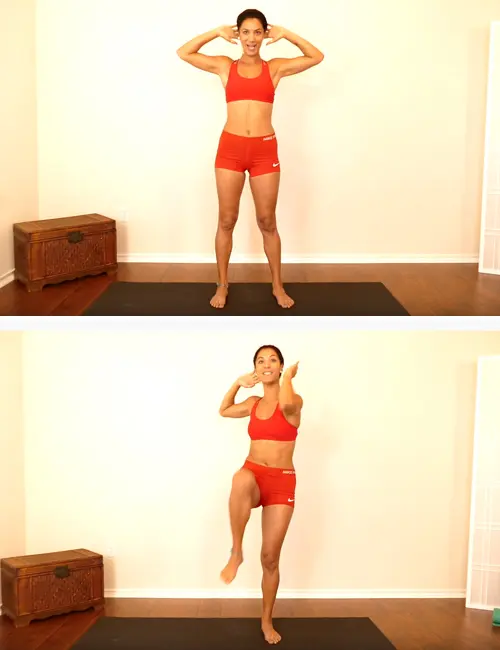 Standing alternate side crunches inner thigh exercise