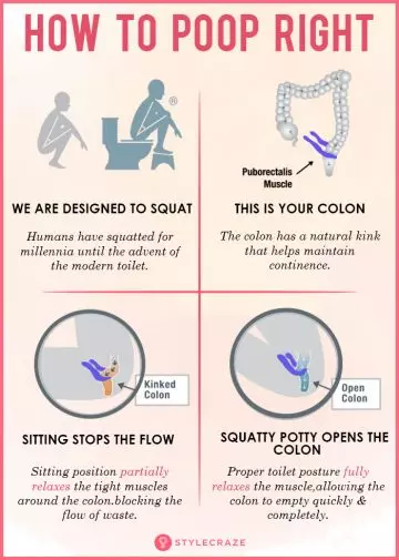 The science behind pooping correctly