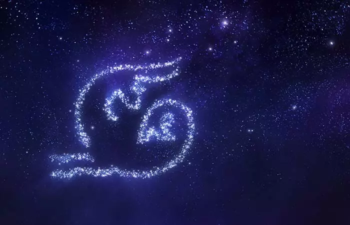 capricorn-zodiac-sign