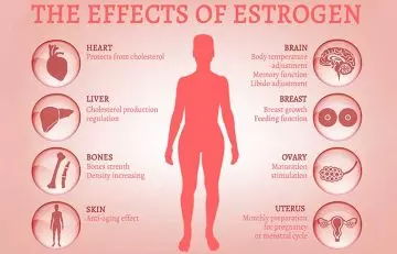 10 Signs That Your Body Has Too Much Estrogen, Which Can Lead To Weight Gain!