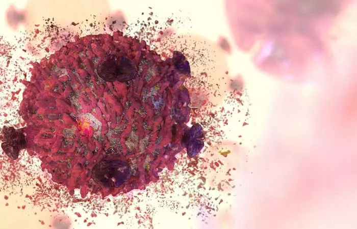 2. Prevents Tumor Formation 