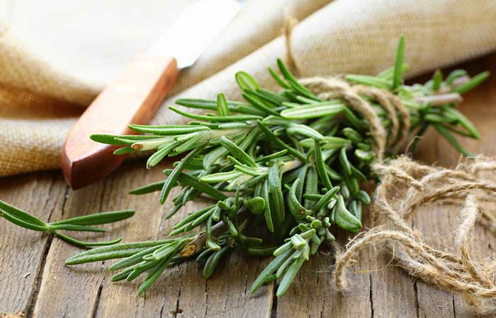 Rosemary to get rid of a silverfish infestation