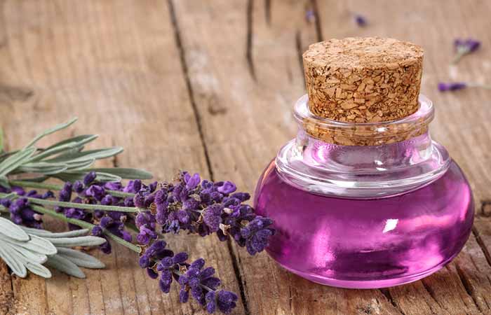 Lavender oil to get rid of a silverfish infestation