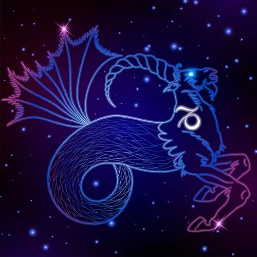 11. Capricorn (Dec 22nd - Jan 19th)