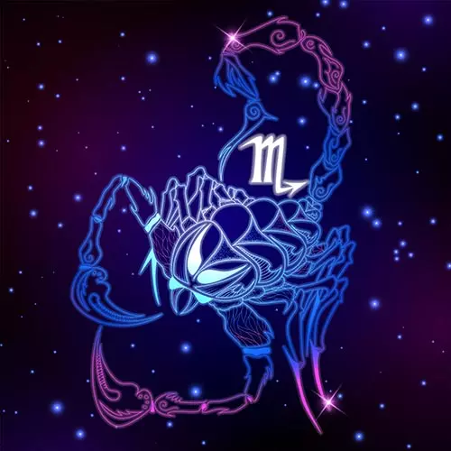 12. Scorpio (Oct 23rd - Nov 21st)