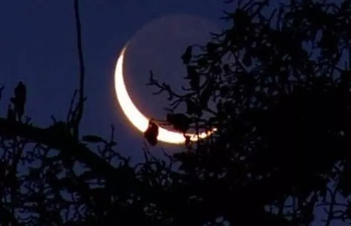 8. Balsamic Phase Wise Visionary 