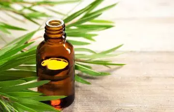 Tea tree oil for treating cradle cap 