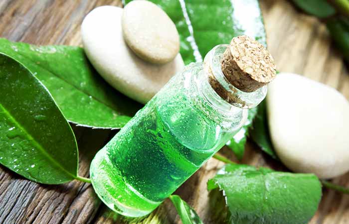 How To Get Rid Of A Poison Ivy Rash Overnight - Tea Tree Oil
