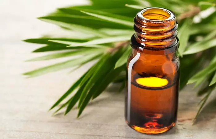 Tea tree oil for angular cheilitis