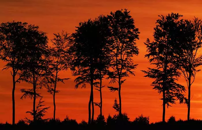 and silhouettes created at this time. 