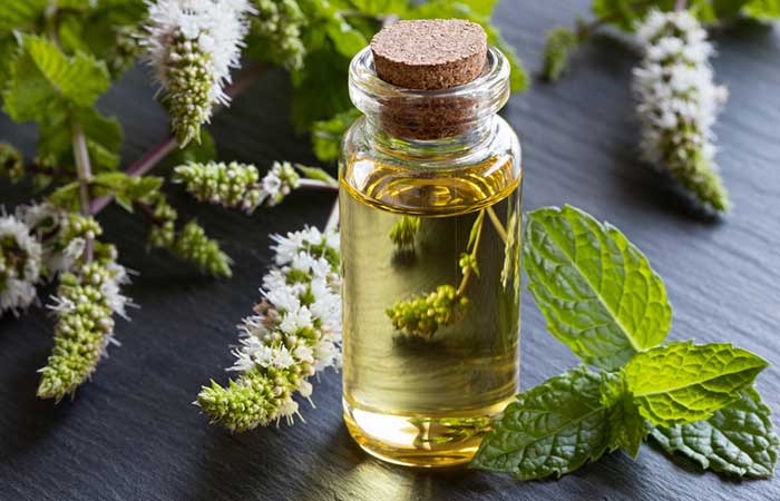 How To Get Rid Of A Poison Ivy Rash Overnight - Peppermint Oil
