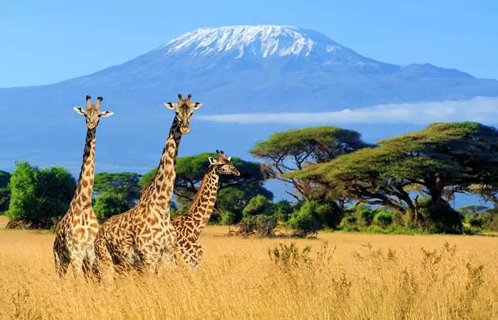 11. Kenya