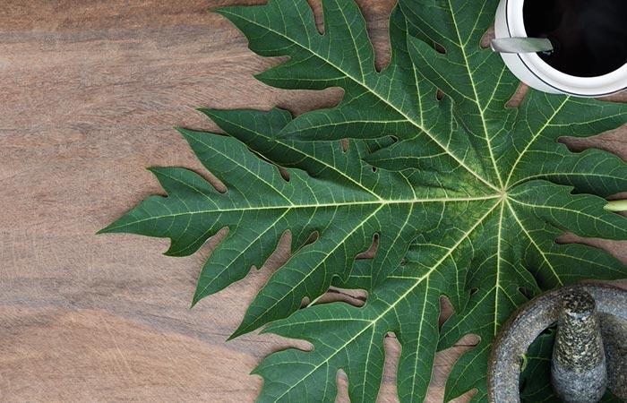Papaya leaves and juice