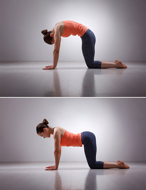 Exercises For Lower Back Pain - CatCow Pose