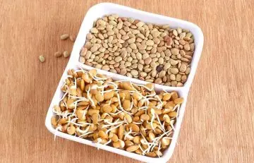 Sprouted horse gram for weight loss