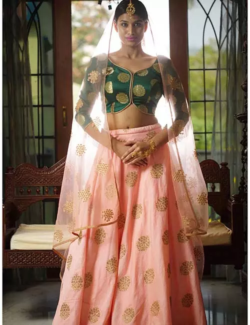 Princess cut choli and skirt style