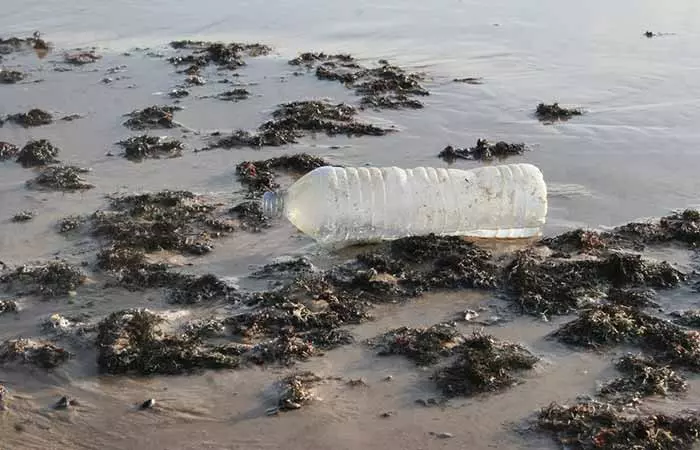 Plastic Bottles Harm The Environment 