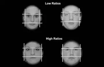 The Shape Of Your Face Determines Your Success 