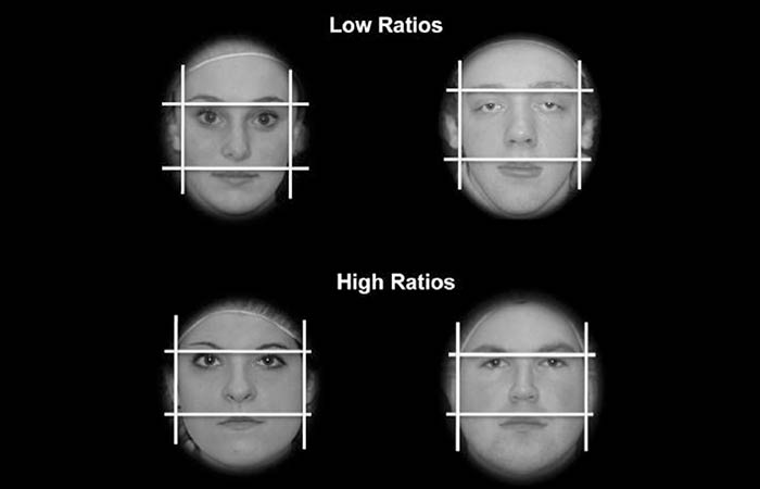 The Shape Of Your Face Determines Your Success 