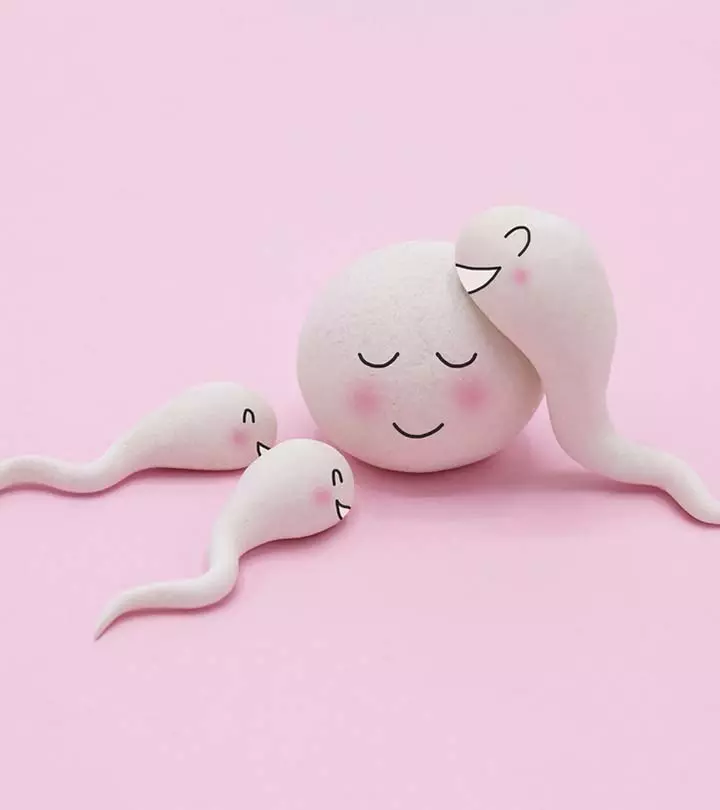 Did You Know That The Female Egg Chooses The Sperm And Not The Other Way?