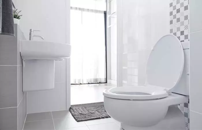 Easy Toilet “Unclogger”