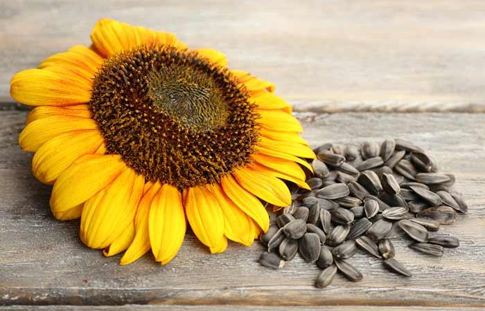 Sunflower Seeds